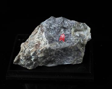 Holtedahlite
